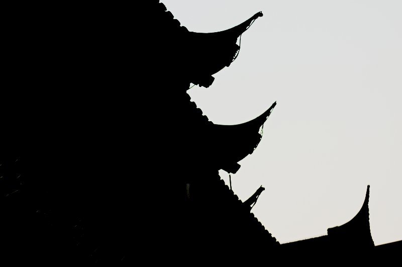 Blog 1
