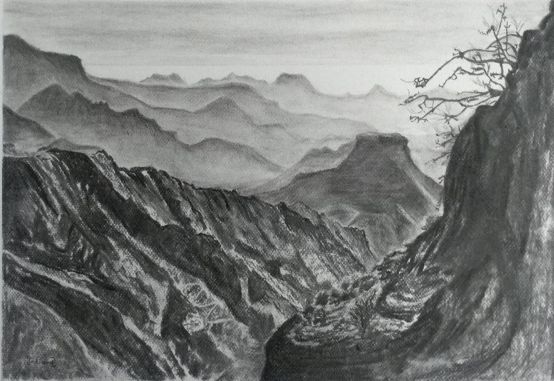Blog 1