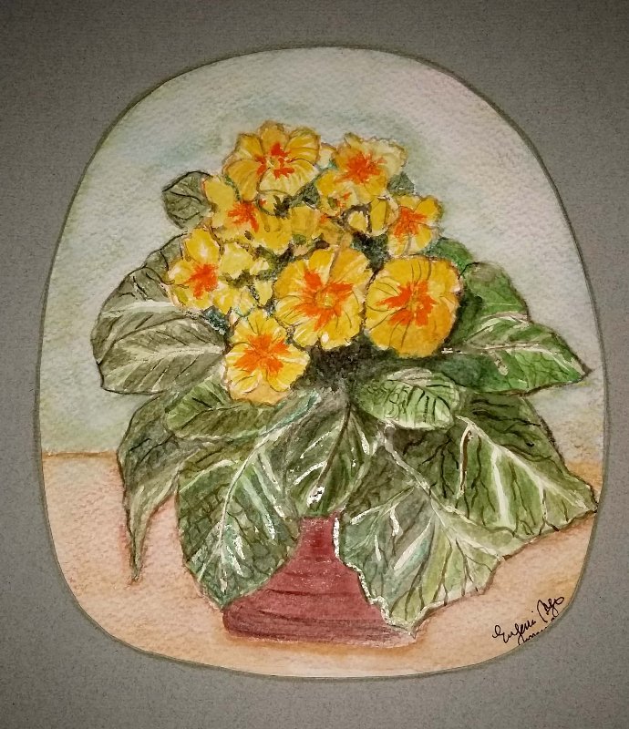 Blog 1