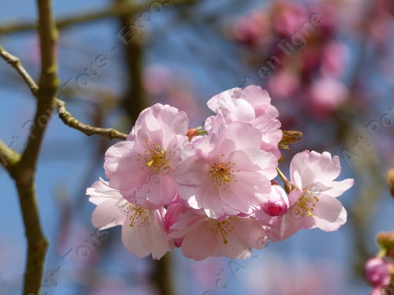 Blog 1