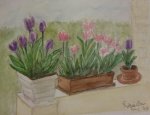 Terrasse avec jardinières de tulipes