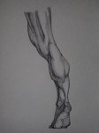 Jambe