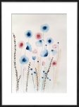 Anémones en fleur
