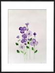 Lilas
