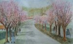 Prunus fleuris - rue Henri Poincaré - Palaiseau