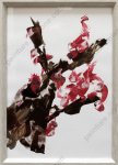Printemps, été, automne, hiver