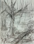La Forêt dévastée