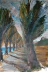 Allée d'Arbres aux Andelys